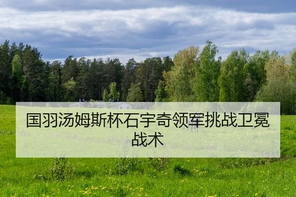guo-yu-tang-mu-si-bei-shi-yu-qi-ling-jun-tiao-zhan-wei-mian-zhan-shu-2-148.jpg